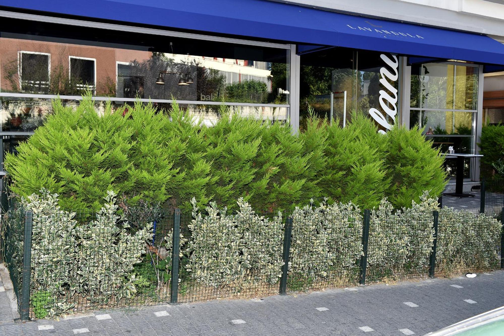 Levent Lavandula Hotel Istambul Extérieur photo